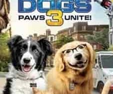 Cats-&-Dogs-3-Paws-Unite-2020