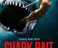 Shark Bait 2022